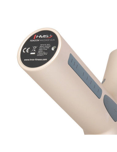 GOLD MASSAGEPISTOLE HMS