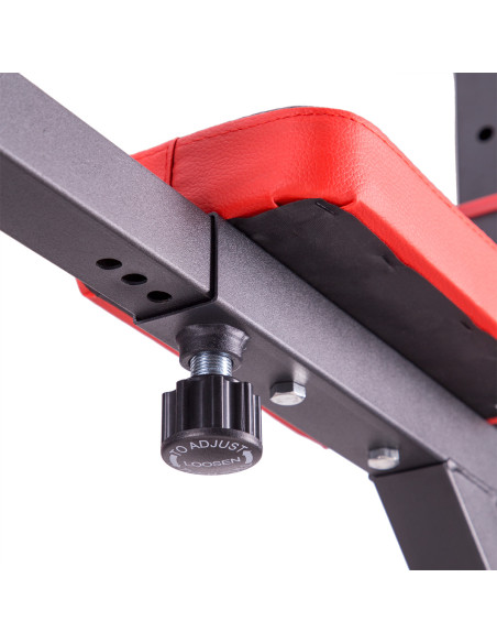 MULTIFUNKTIONALE KLIMMZUGSTATION HMS