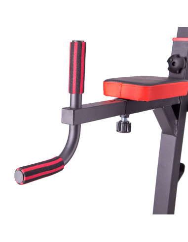 MULTIFUNKTIONALE KLIMMZUGSTATION HMS