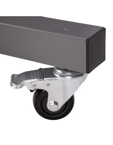 STÄNDER FÜR HANTELSCHEIBEN HMS