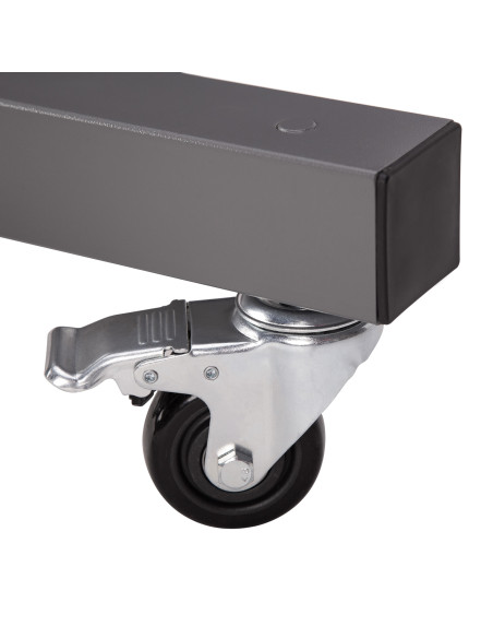 STÄNDER FÜR HANTELSCHEIBEN HMS