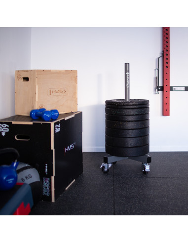 STÄNDER FÜR HANTELSCHEIBEN HMS