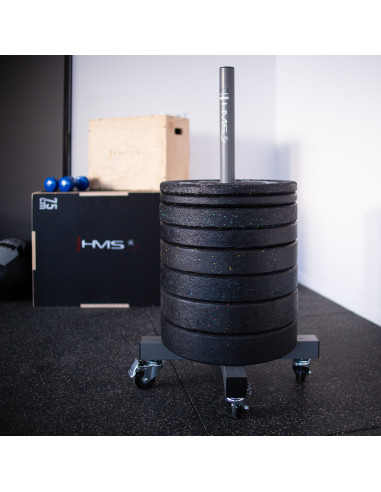 STÄNDER FÜR HANTELSCHEIBEN HMS