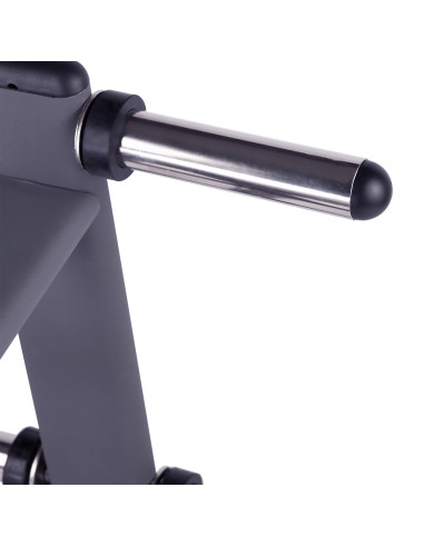 STÄNDER FÜR HANTELSCHEIBEN HMS