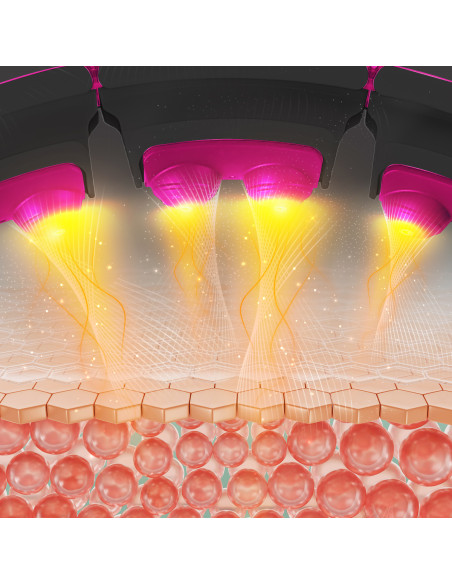 HULA HOOP SCHWARZ/PINK MIT MAGNETEN, GEWICHT UND ZÄHLER HMS