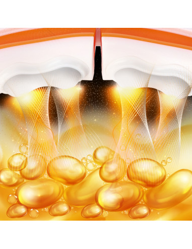 HOOP MAGNETISCH WHITE/ORANGE HHM21 MIT ZÄHLER HMS + SCHLANKGÜRTEL BR1313