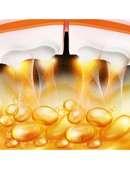 HOOP MAGNETISCH WHITE/ORANGE HHM21 MIT ZÄHLER HMS + SCHLANKGÜRTEL BR1313