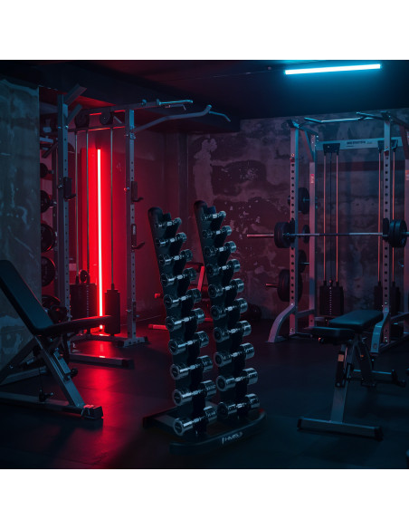 VERTIKALER HANTELSTÄNDER COMMERCIAL HMS