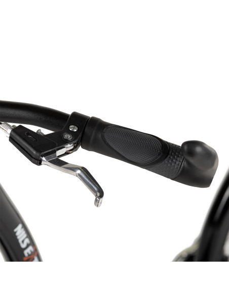 BLACK 26/20" ROLLER MIT AUFGEPUMPTEN RÄDERN NILS EXTREME