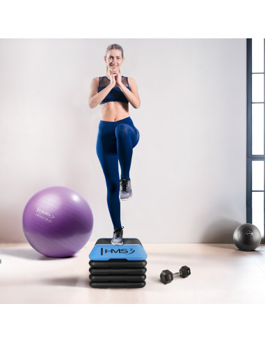 MINI AEROBIC-STEPPBRETT COMMERCIAL HMS