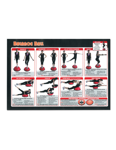 PRO SCHWARZ BALANCE-BALL HMS PREMIUM