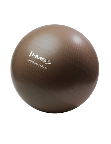 65CM GRIZZLY BRAUN ANTI-BURST GYMNASTIKBALL HMS