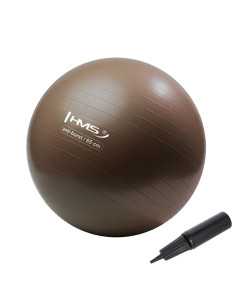 65CM GRIZZLY BRAUN ANTI-BURST GYMNASTIKBALL HMS 2