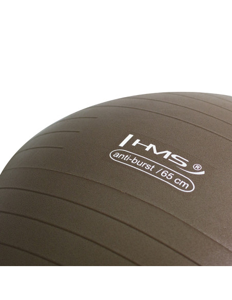 65CM GRIZZLY BRAUN ANTI-BURST GYMNASTIKBALL HMS