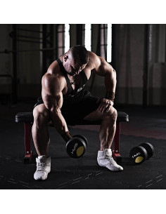 PRO 6 KG RUNDHANTEL MIT GUMMIUMMANTELUNG HMS 2