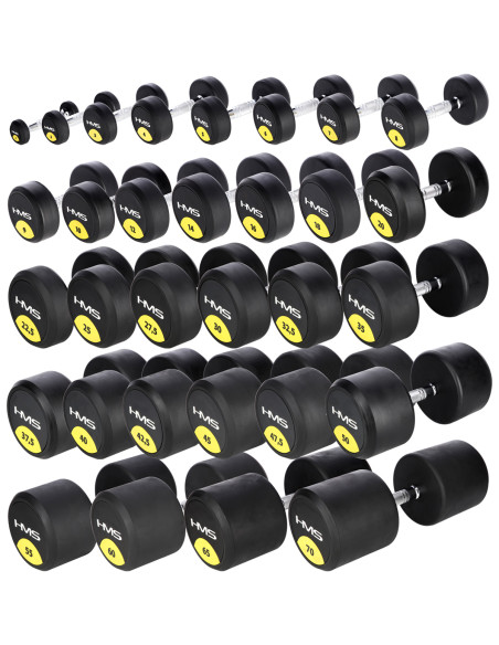 PRO 22.5 KG RUNDHANTEL MIT GUMMIUMMANTELUNG HMS