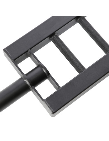 TRIZEPSSTANGE 20 KG HMS