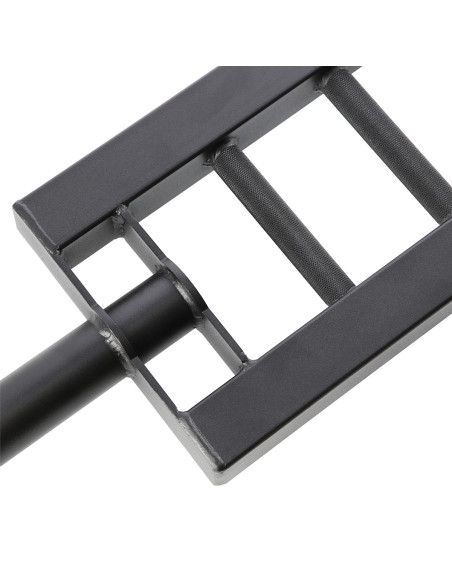 TRIZEPSSTANGE 20 KG HMS