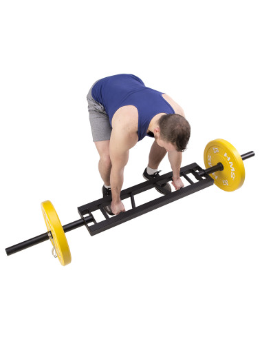 TRIZEPSSTANGE 20 KG HMS