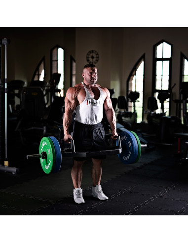 GREEN OLYMPISCHE HANTELSCHEIBE BUMPER 10 KG HMS