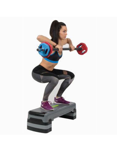 GRAY/BLACK AEROBIC-STEPPBRETT HMS