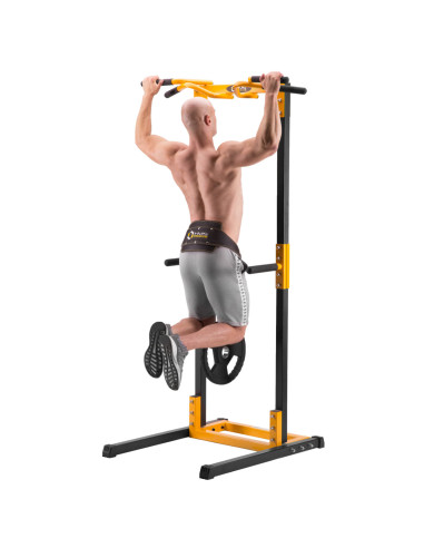 GEWICHTHEBERGÜRTEL HMS PREMIUM