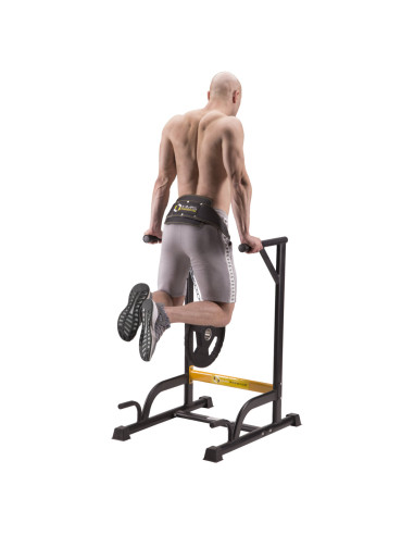 GEWICHTHEBERGÜRTEL HMS PREMIUM