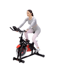 INDOOR HEIMTRAINER HMS 2