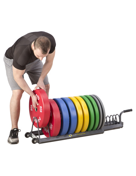 TRANSPORTSTÄNDER FÜR HANTELSCHEIBEN HMS PREMIUM