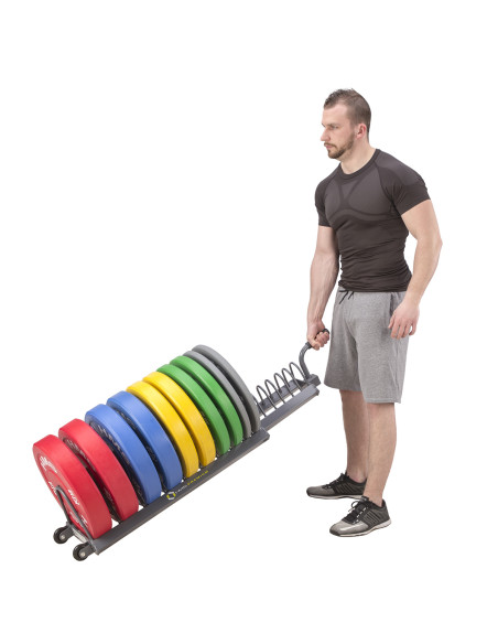 TRANSPORTSTÄNDER FÜR HANTELSCHEIBEN HMS PREMIUM