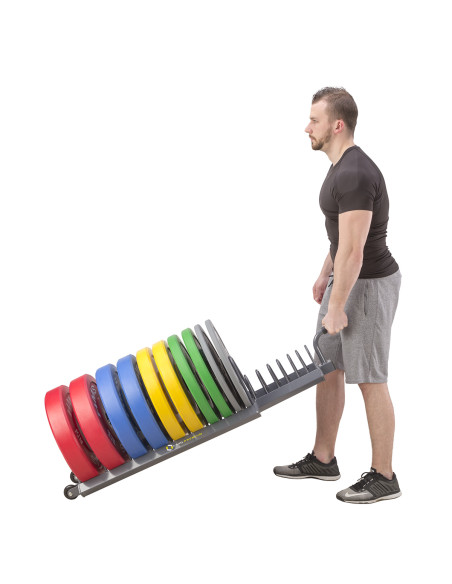 TRANSPORTSTÄNDER FÜR HANTELSCHEIBEN HMS PREMIUM