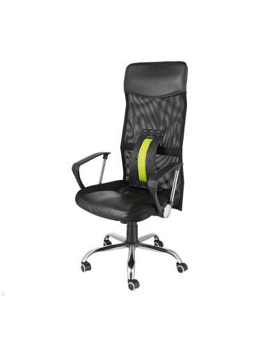 GRÜN RÜCKENSTRECKER MIT MAGNETEN HMS