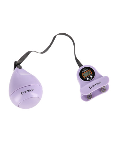 HULA-HOOP-REIFEN VIOLET MIT MASSAGEPUNKTEN UND SCHWERKRAFTBALL + ZÄHLER HMS