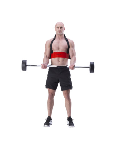 ARM-BLASTER GERÄT ZUM BIZEPSTRAINING HMS