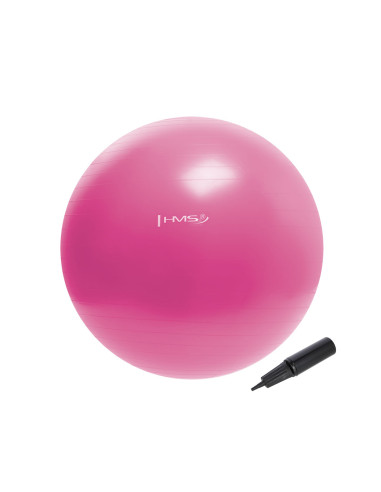 55CM PINK GYMNASTIKBALL HMS