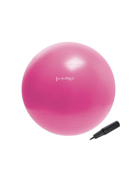 55CM PINK GYMNASTIKBALL HMS
