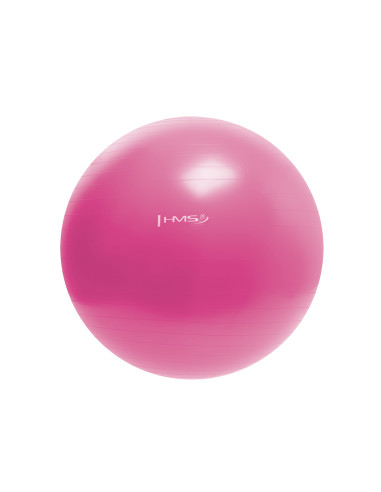 55CM PINK GYMNASTIKBALL HMS