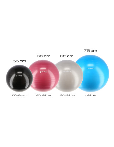 65CM GRAY GYMNASTIKBALL HMS