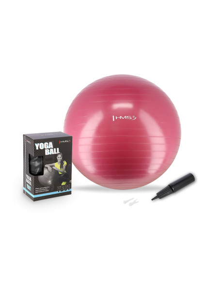 65CM PLUM GYMNASTIKBALL HMS