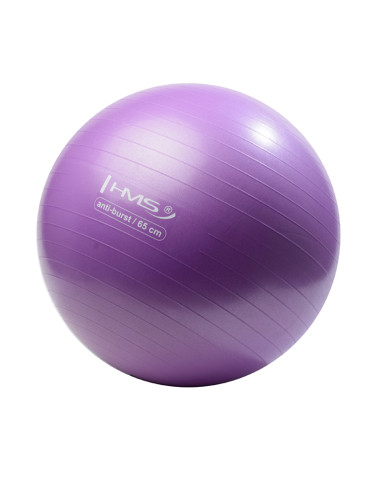 65CM PURPLE ANTI-BURST GYMNASTIKBALL HMS