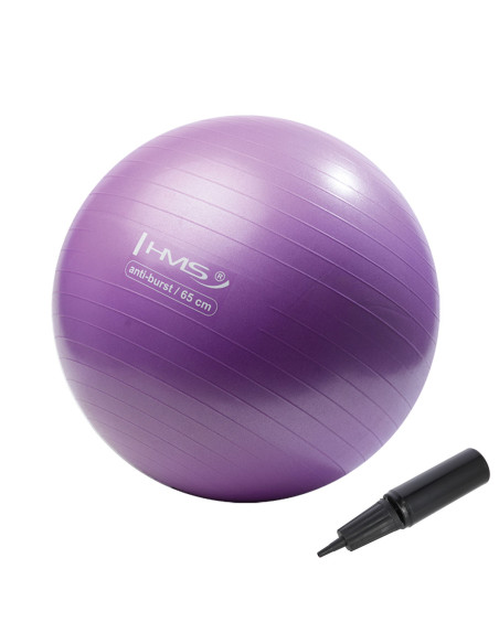 65CM PURPLE ANTI-BURST GYMNASTIKBALL HMS