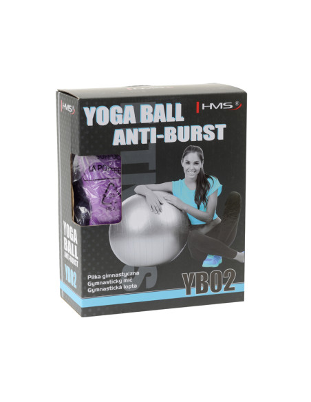 65CM PURPLE ANTI-BURST GYMNASTIKBALL HMS