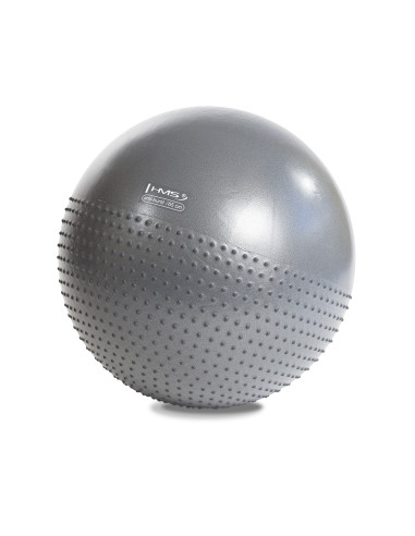65CM GRAY GYMNASTIKBALL MIT MASSAGENOPPEN HMS