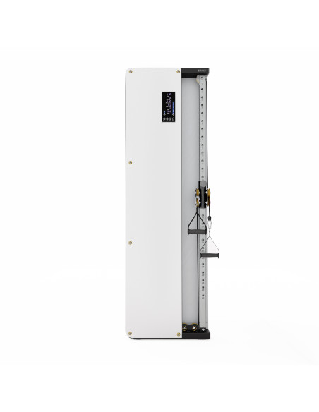 KRAFTSTATION MIT GEWICHTSBLOCK UND PNEUMATISCHEM WIDERSTAND COMMERCIAL HMS