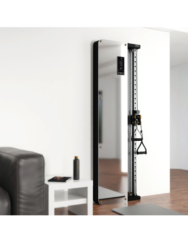 KRAFTSTATION MIT GEWICHTSBLOCK UND PNEUMATISCHEM WIDERSTAND COMMERCIAL HMS