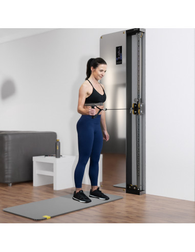 KRAFTSTATION MIT GEWICHTSBLOCK UND PNEUMATISCHEM WIDERSTAND COMMERCIAL HMS